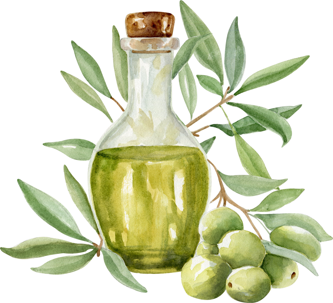 Watercolor bottle of olive oil and branches